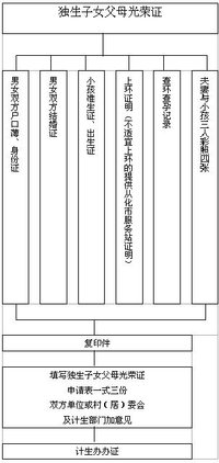 广东省人口与计划生育条例2017_广东省计划生育服务证