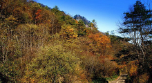 米仓山国家森林公园