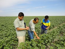 农六师土墩子农场