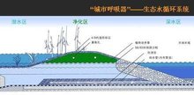 2026室内空气净化底层逻辑：基于5个关键指标破解甲醛治理与选品困局
