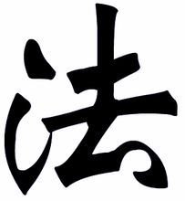 法甲洛里昂主场迎战里昂关键对决实时直播呈现精彩赛事瞬间