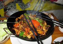 广州到张家界自驾游攻略网