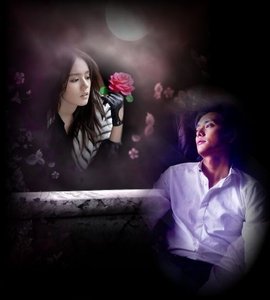 吾爱今夜你在哪里