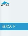命定天下