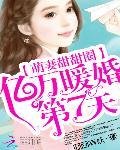 萌妻甜甜圈:亿万暖婚第7天