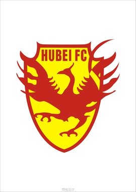 湖北绿茵足球俱乐部