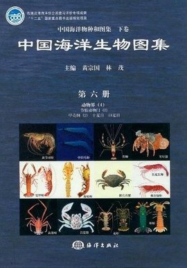 商务英语笔译实务