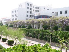 青岛大学师范学院图书馆_360百科