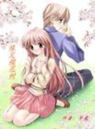 冰山公主VS温柔王子