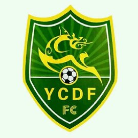 盐城鼎力足球俱乐部