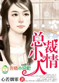 总裁小情人