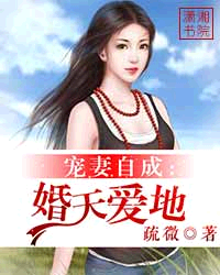 宠妻自成,婚天爱地