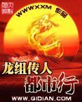龙组传人都市行