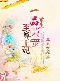 重生一品荣宠-至尊王妃