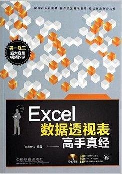 Excel数据透视表高手真经