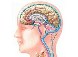 蛛网膜腔内囊肿