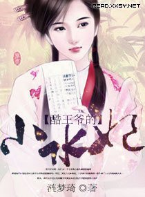 酷王爷的小水妃