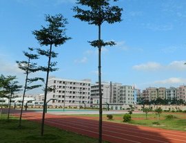 东莞市凤岗金凤凰学校