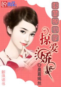 神秘恋人:冰山总裁的掠爱娇妻