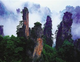 广州到张家界攻略网