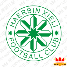 哈尔滨协力足球队