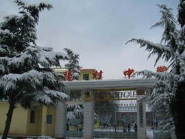 洛南县杨村中学