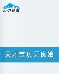 天才宝贝无良娘亲