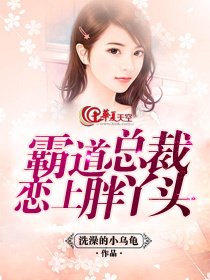 霸道总裁恋上胖丫头