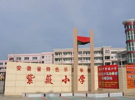 滁州市紫薇小学_360百科