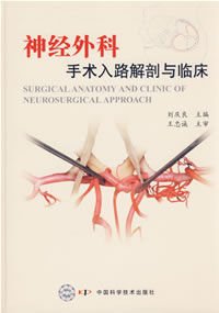神经外科手术入路解剖与临床