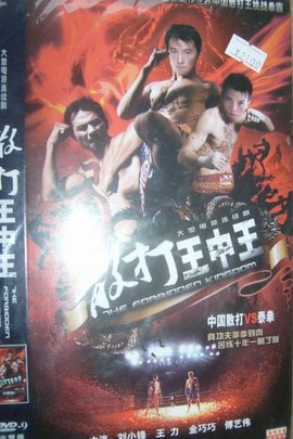 散打王中王_360百科