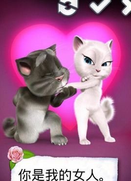 会说话的汤姆猫情人节