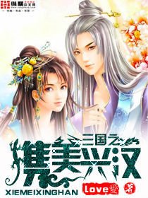 三国之携美兴汉