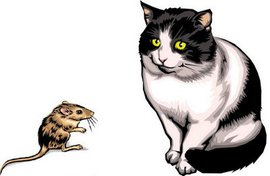 pg电PG电子游戏- PG电子平台- PG电子官方网站子游戏哪个平台好玩一点