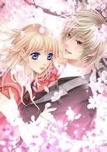 四大冷酷王子VS四大冷漠公主