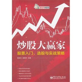 炒股大赢家:股票入门