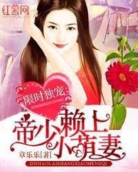 限时独宠:帝少赖上小萌妻
