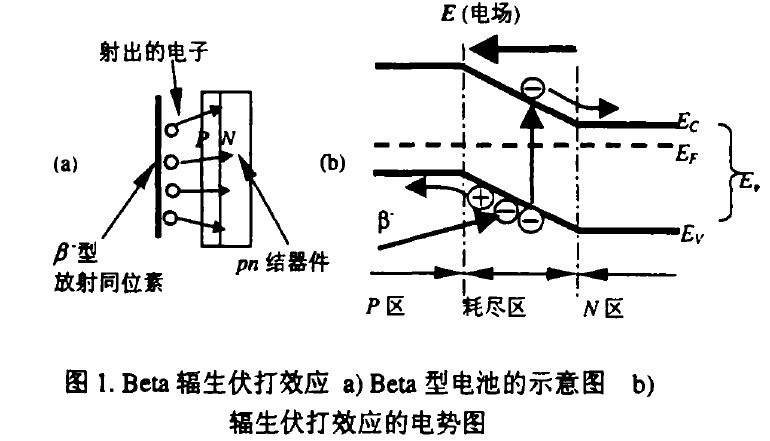 核电池不用充电的原理是什么_痔核是什么样子图片