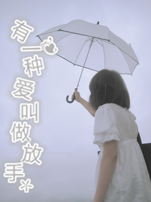 制作一个小说封面,名字:有一种爱叫做放手