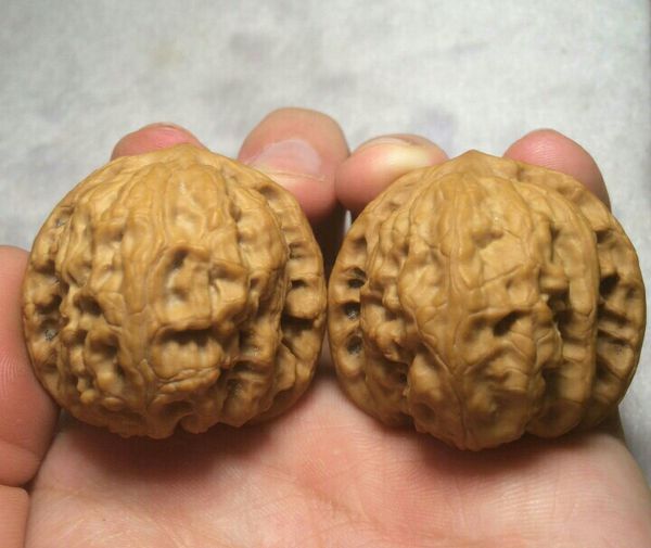 请教懂核桃的大神看看这两种核桃哪个品种好~