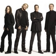 eagles