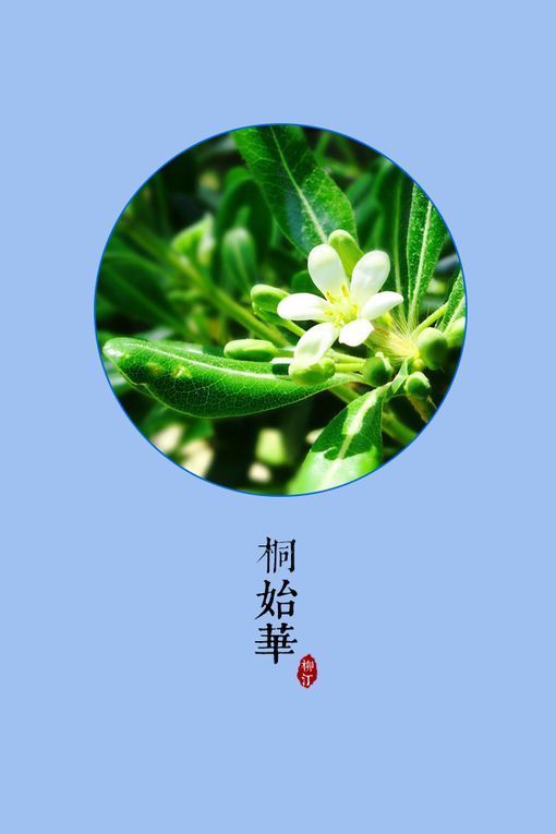 求网配耽美文 he 主受 请发云盘文件_360问答