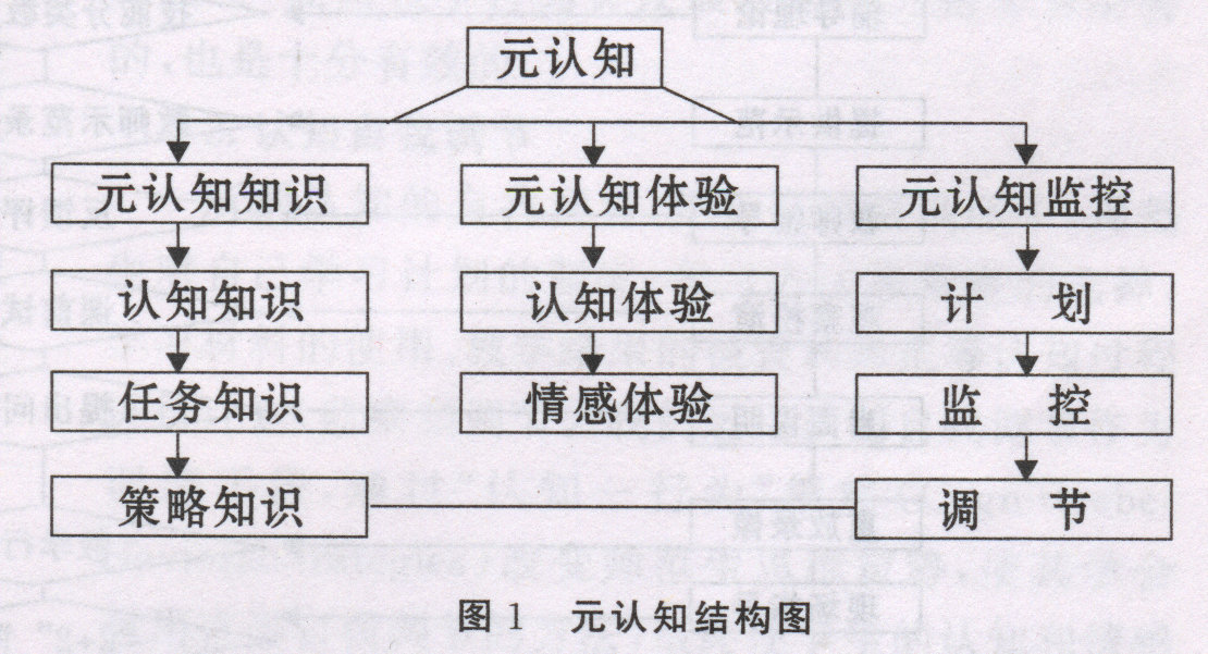 元认知