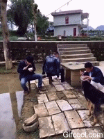 坐地铁撞衫了:要不要搭个讪呢? - 宁静致远 - 至卓飞高 坐地铁撞衫了:要不要搭个讪呢? - 一统江山 - 一统江山的博客