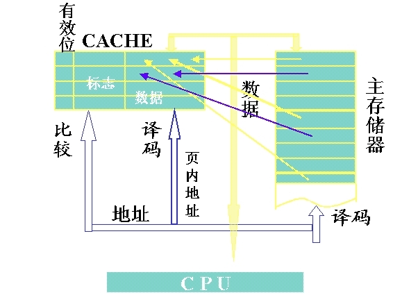 Cache在存储器系统中到底有多重要？