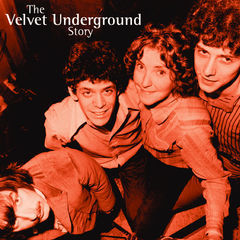 the velvet underground story 2cd set(chunky repackaged)
