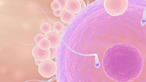 男性不育症_360百科