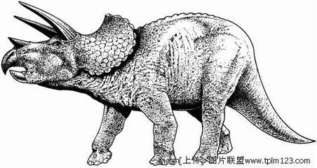 恐龙的铅笔画